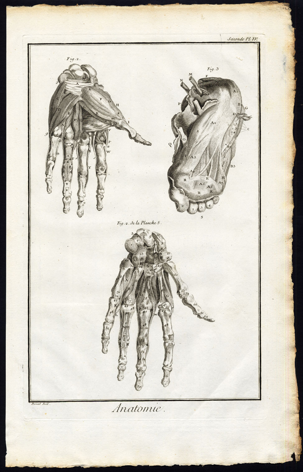 , Antique Print-HUMAN ANATOMY-HAND-FOOT-BONES-Diderot-Prevost-1751, Pictura Antique Prints