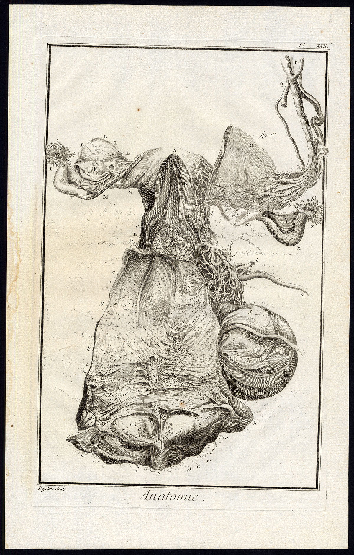 Bb14071 2 416x651 Antique Print-ANATOMY-FEMALE REPRODUCTIVE SYSTEM-UTERUS-Diderot-Defehrt-1751
