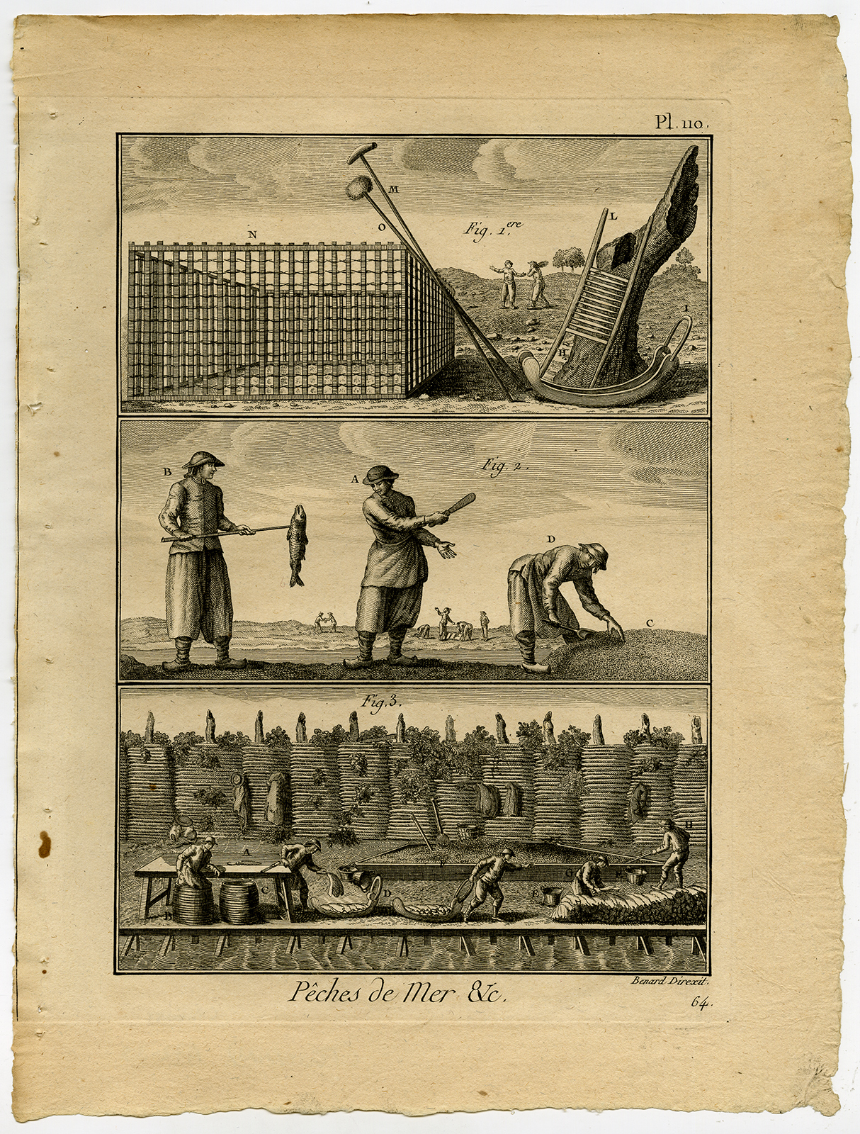 , Antique Fishing Print-COD-CODFISH-AMERICA-Pl. 110-Panckoucke-1793, Pictura Antique Prints