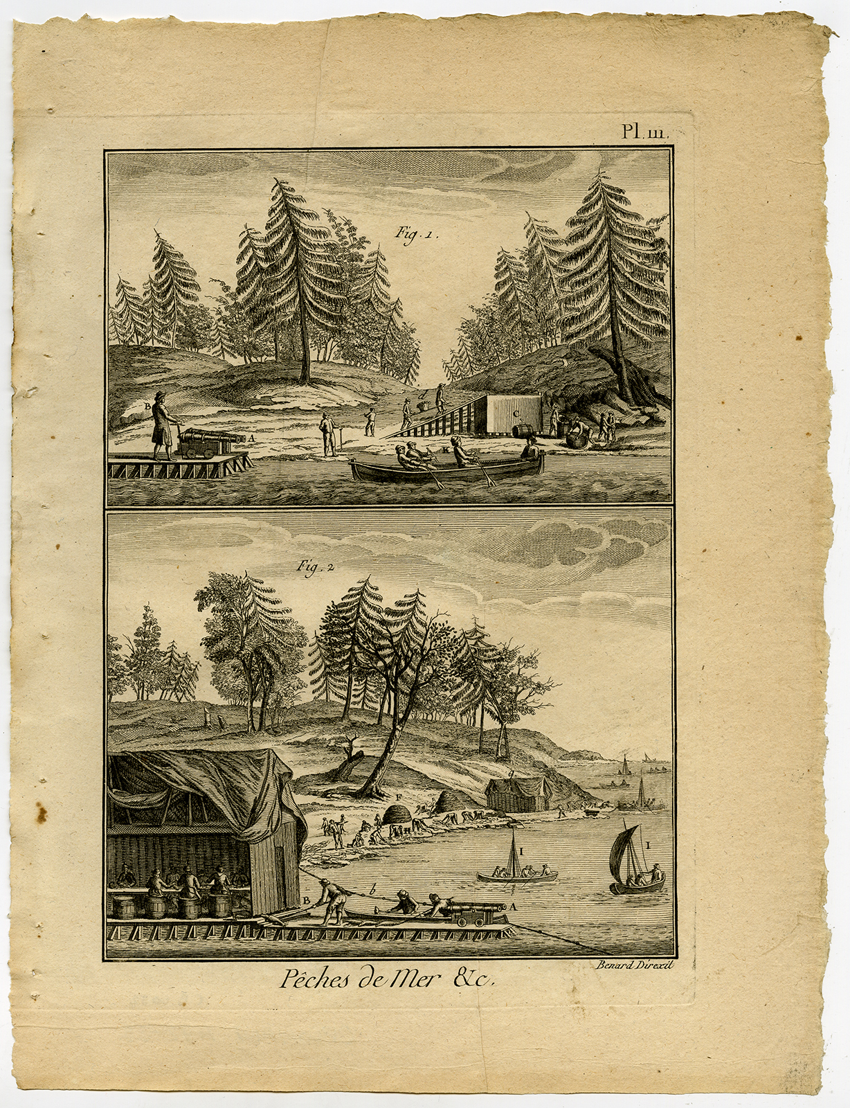 , Antique Fishing Print-CODFISH-COD-AMERICA-Pl. 111-Panckoucke-1793, Pictura Antique Prints