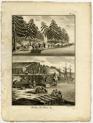 Antique Fishing Print-COD-CODFISH-AMERICA-PROCESS-Pl.112-Panckoucke-1793