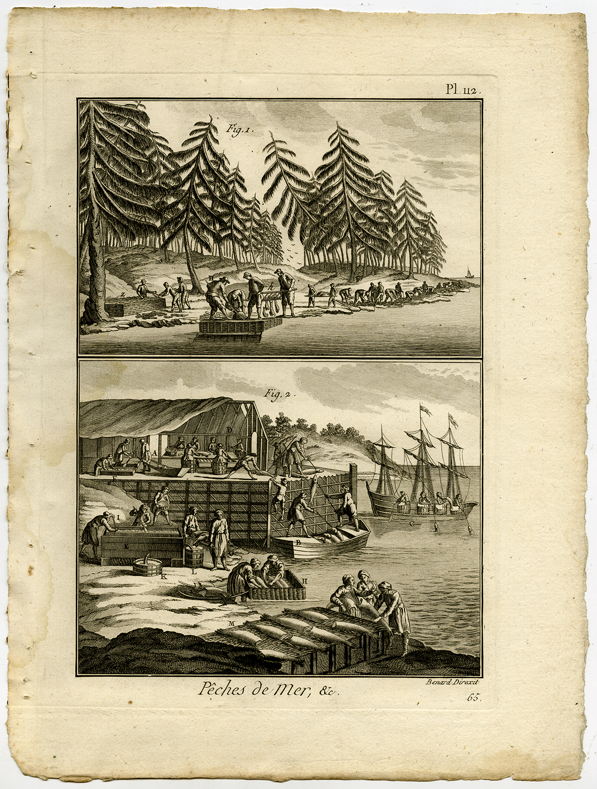 , Antique Fishing Print-COD-CODFISH-AMERICA-PROCESS-Pl.112-Panckoucke-1793, Pictura Antique Prints