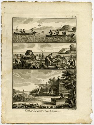 Antique Fishing Print-HAKE-STOCKFISH-HAKE-Pl. 113-Panckoucke-1793