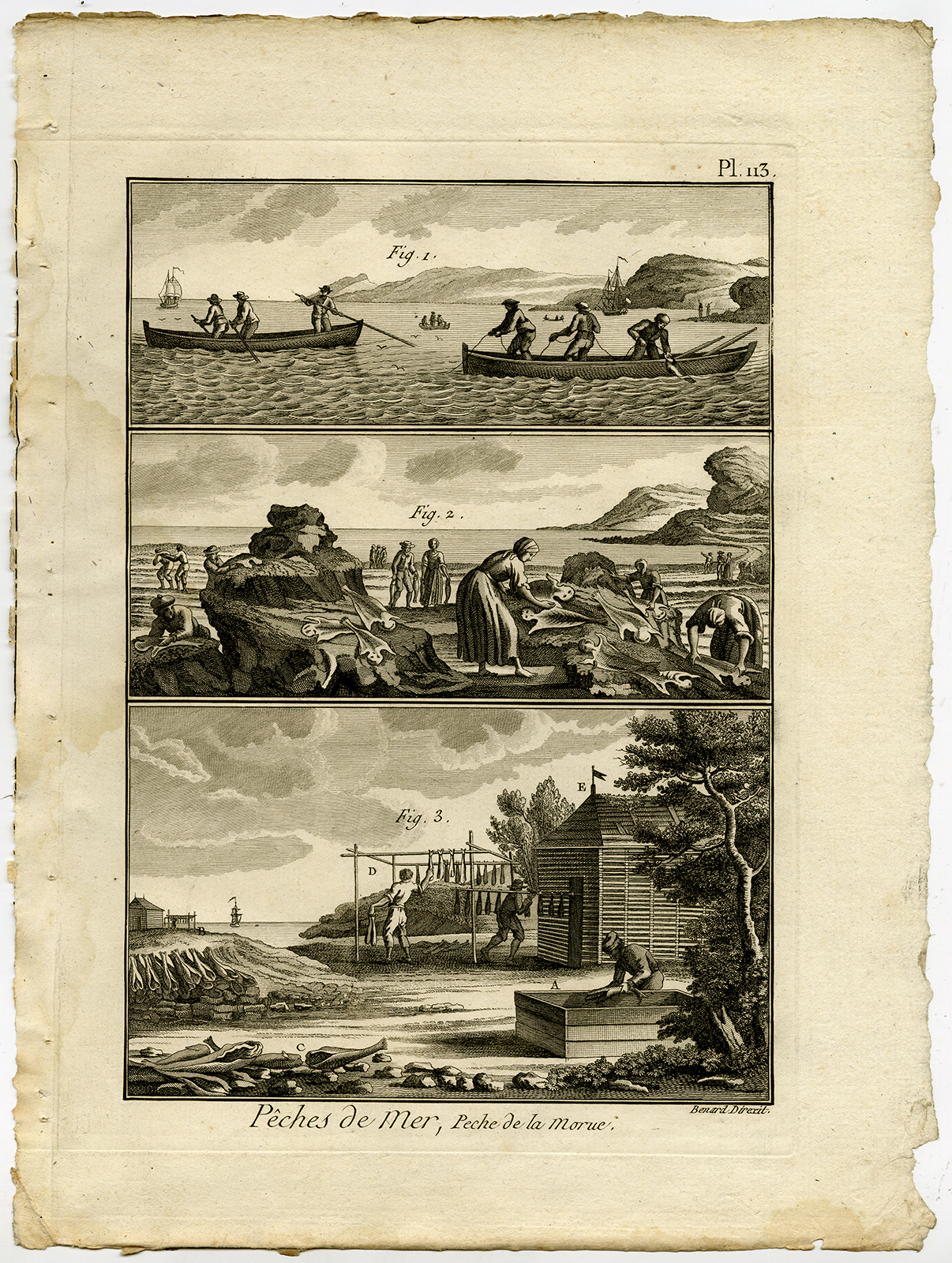 , Antique Fishing Print-HAKE-STOCKFISH-HAKE-Pl. 113-Panckoucke-1793, Pictura Antique Prints