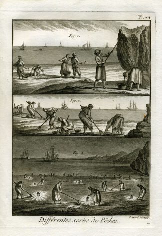 Antique Fishing Print-Plate 23-BEACH-SHELLS-Panckoucke-1793