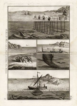 Antique Fishing Print-SALICOTS-ACON-Panckoucke-1793