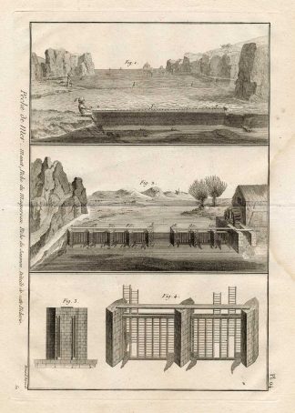Antique Fishing Print-MACKEREL-SALMON-Panckoucke-1793