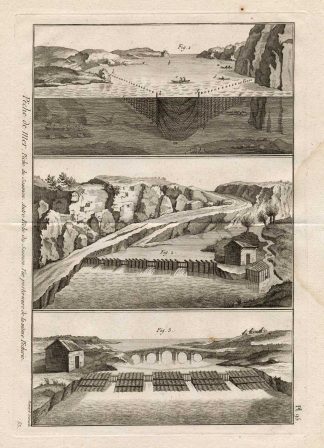 Antique Fishing Print-SALMON-Panckoucke-1793