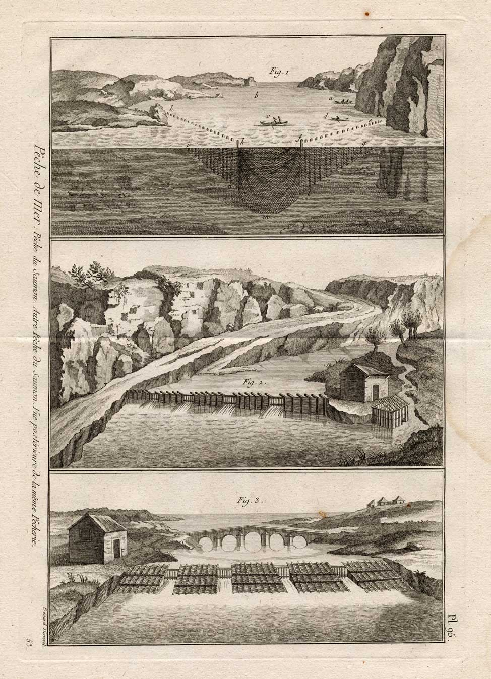 , Antique Fishing Print-SALMON-Panckoucke-1793, Pictura Antique Prints