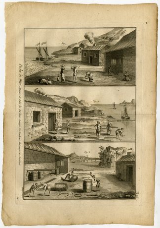 Antique Fishing Print-SARDINES-SALTING-Pl. 96-Panckoucke-1793