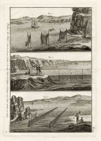 Antique Fishing Print-NETS-BIRD-GARFISH-Panckoucke-1793