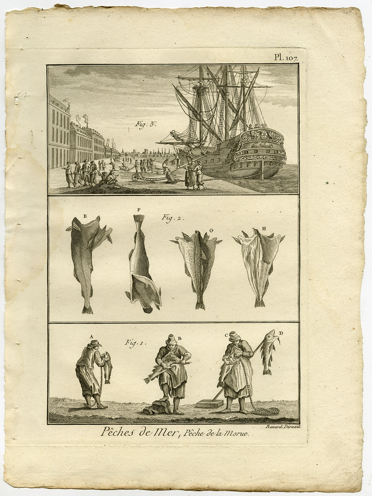 , Antique Fishing Print-COD-CODFISH-Pl. 107-Panckoucke-1793, Pictura Antique Prints