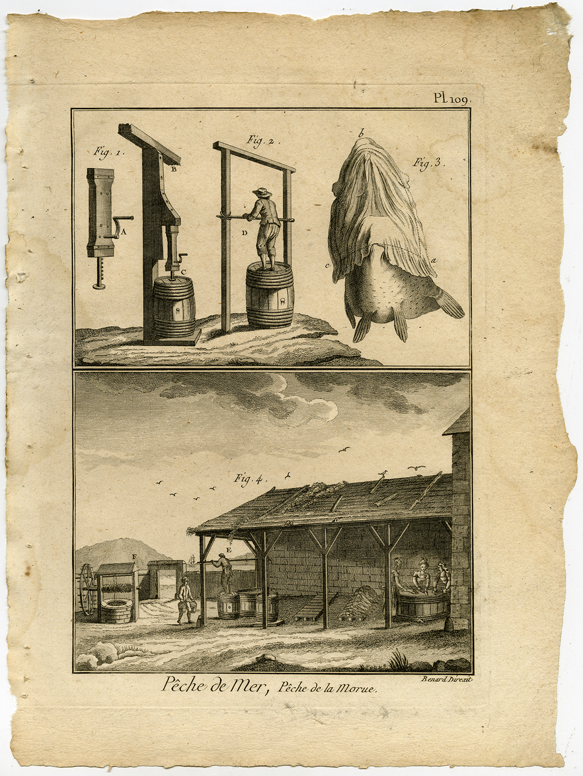 , Antique Fishing Print-COD-CODFISH-Pl. 109-Panckoucke-1793, Pictura Antique Prints