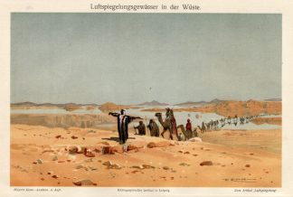 Antique Prints-WATER MIRAGE-CARAVAN-DESSERT-Meyers-1900