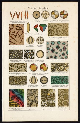Antique Prints-LIQUID CRYSTALS-Oosthoek-1916