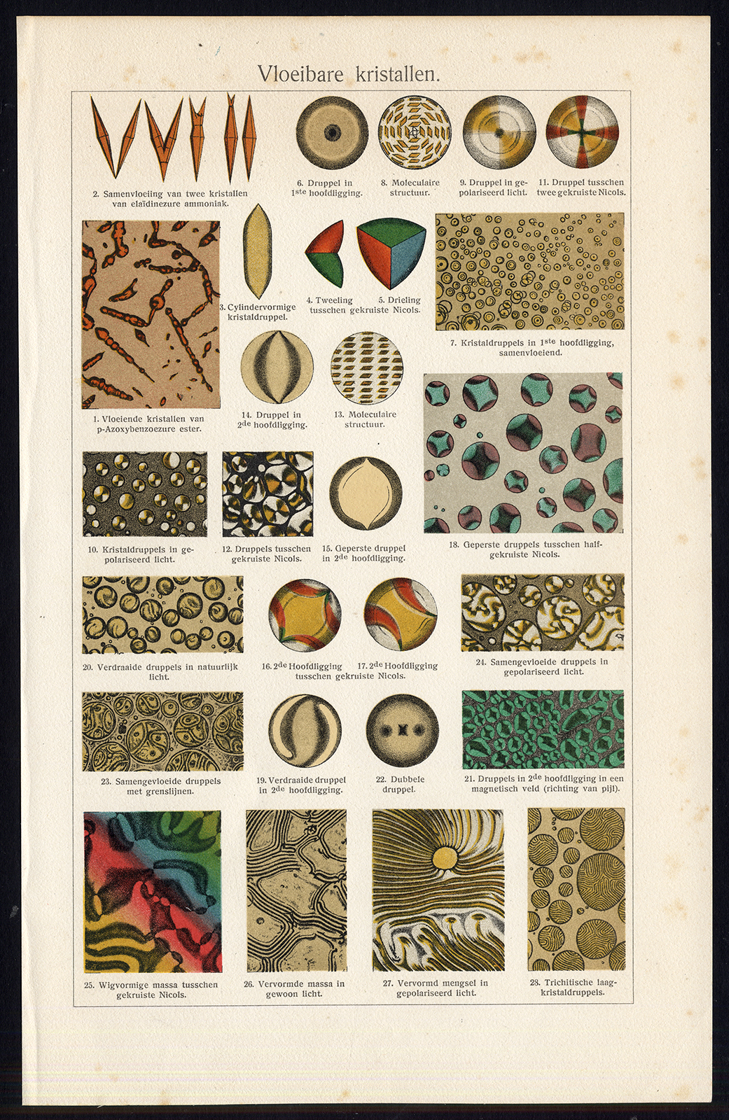 Ebv0809 4 416x639 Antique Prints-LIQUID CRYSTALS-Oosthoek-1916