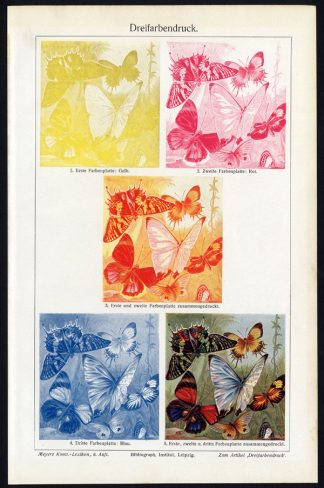 Antique Prints-THREE COLOR PRINTING-Meyers-1900