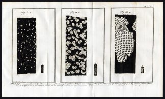 Antique Print-SEAWEED LEAVES-CELLS-ALGAE-Martinet-1779