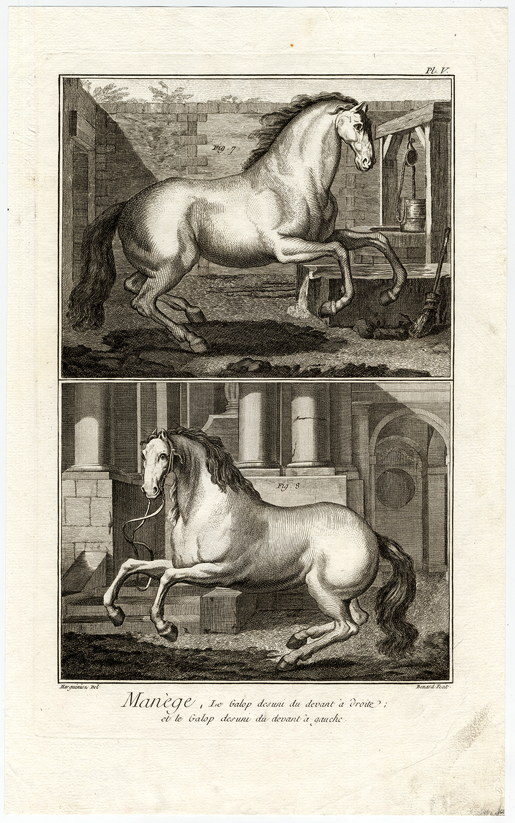 , Antique Print-DRESSAGE-HORSE TRAINING-EQUESTRIAN SPORT-V-Diderot-Benard-1751, Pictura Antique Prints