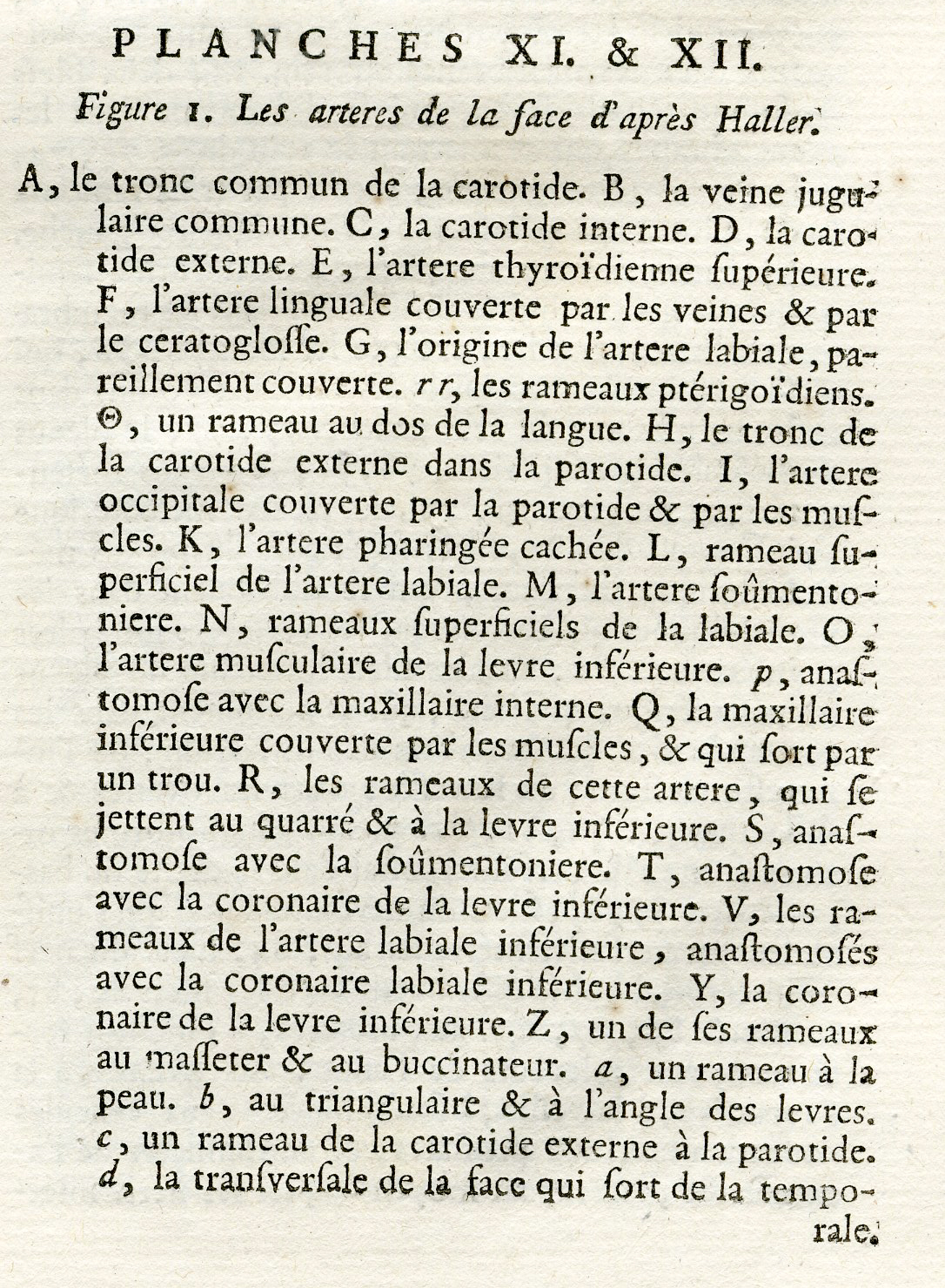 , 2 Antique Prints-HUMAN ANATOMY-ARTERIES OF THE FACE-ARTERY-Diderot-Defehrt-1751, Pictura Antique Prints