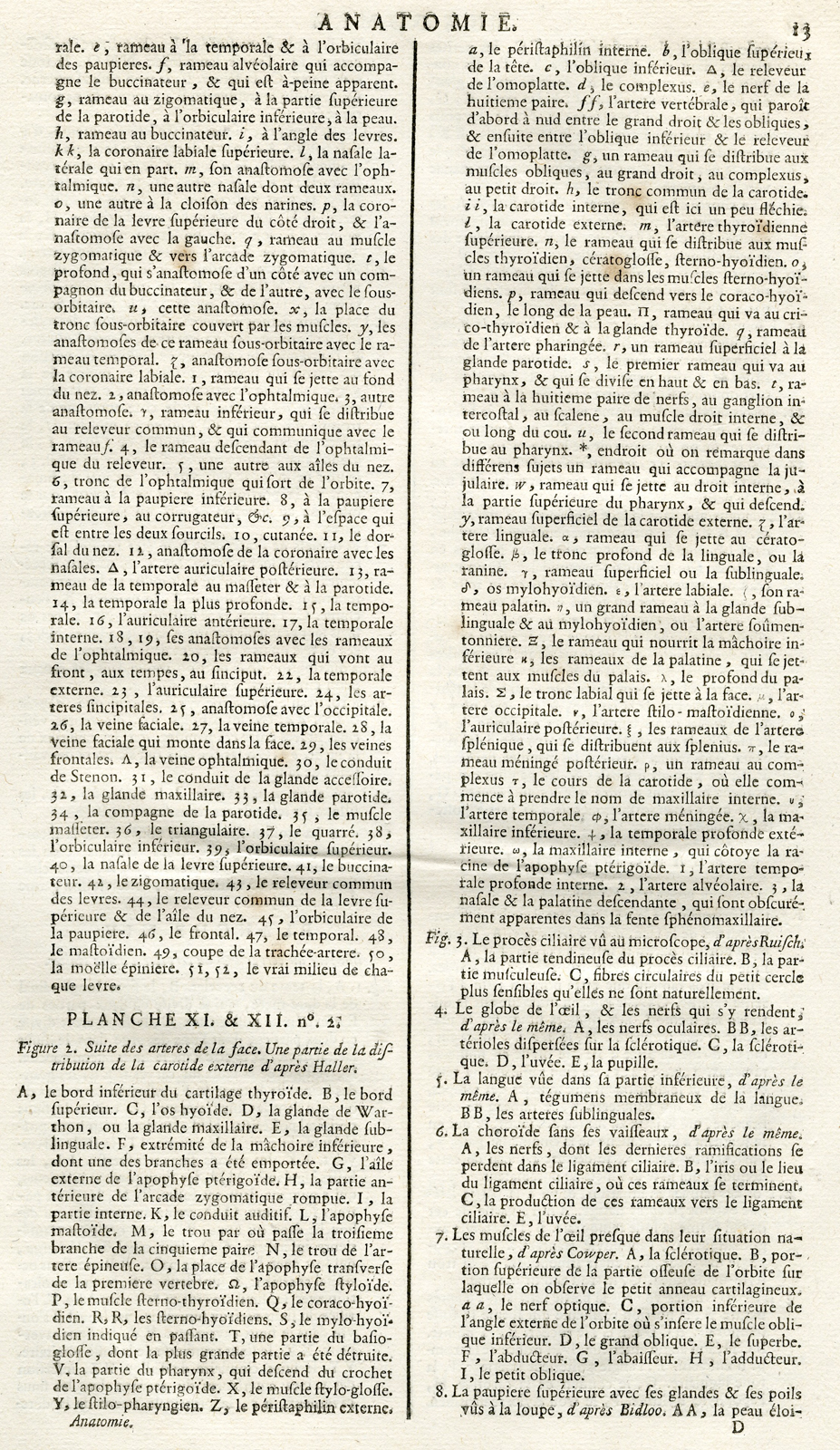 , 2 Antique Prints-HUMAN ANATOMY-ARTERIES OF THE FACE-ARTERY-Diderot-Defehrt-1751, Pictura Antique Prints