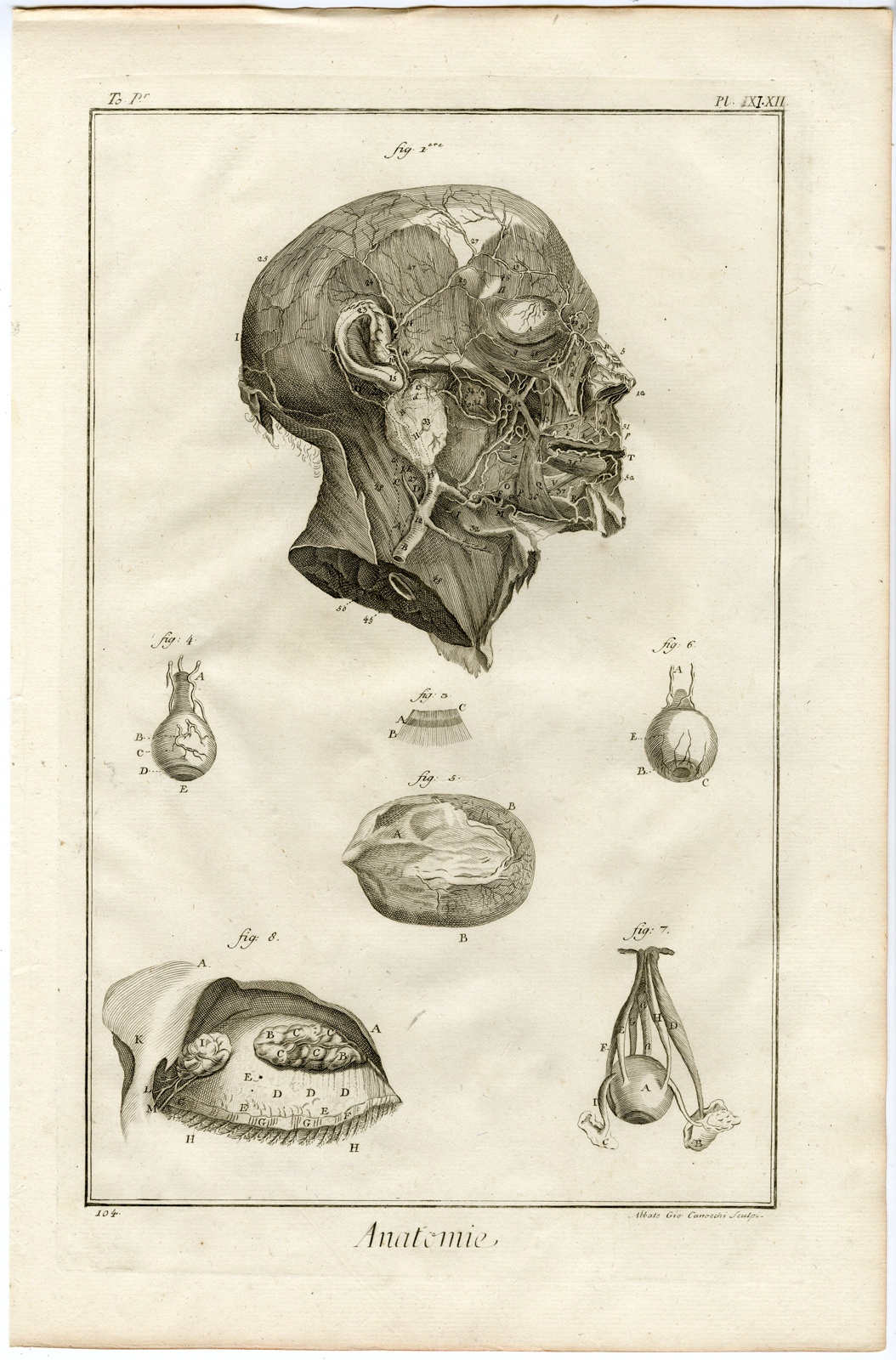 , 2 Antique Prints-HUMAN ANATOMY-ARTERIES OF THE FACE-ARTERY-Diderot-Defehrt-1751, Pictura Antique Prints