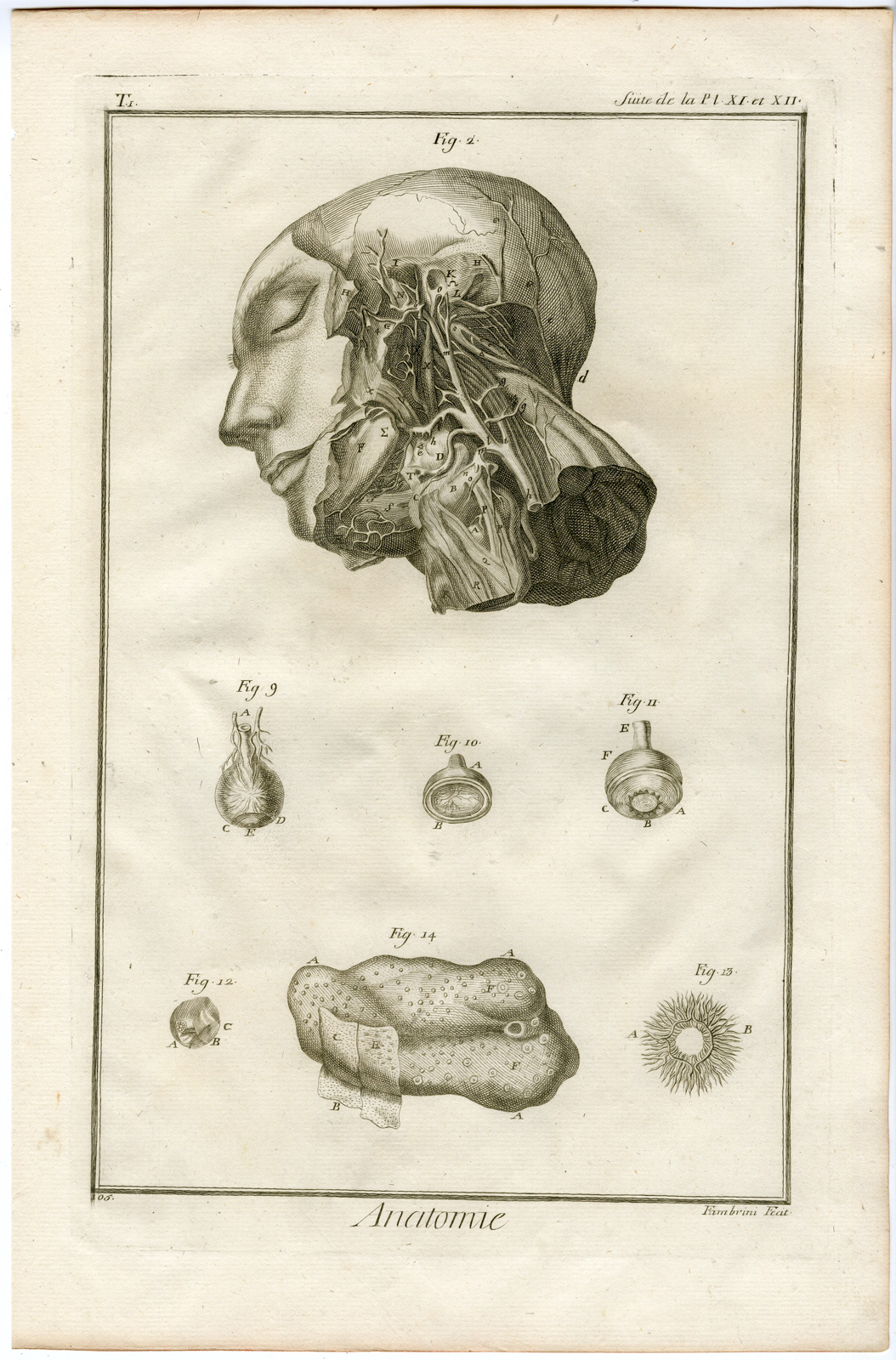 , 2 Antique Prints-HUMAN ANATOMY-ARTERIES OF THE FACE-ARTERY-Diderot-Defehrt-1751, Pictura Antique Prints