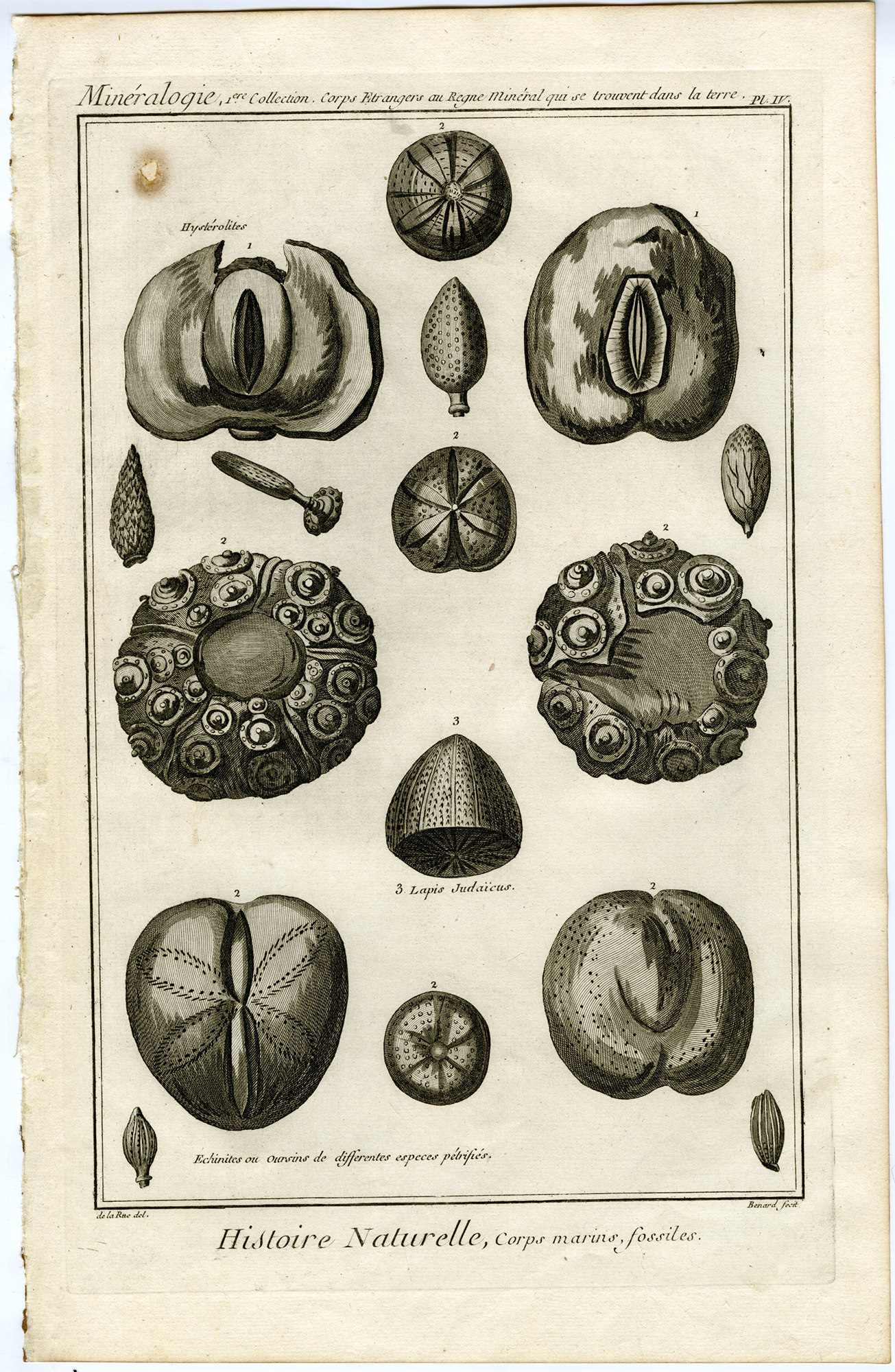 , Antique Print-LAPIS JUDAICUS-FOSSILIZED MARINE ANIMAL-Diderot-1751, Pictura Antique Prints