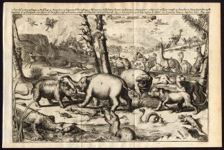 Rare Antique Print-AFRICAN-ASIAN ANIMALS-RHINO-CAPETOWN-de Hooghe-1682