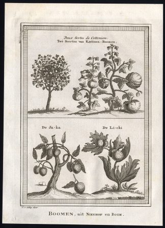 Antique Print-LYCHEE-COTTON TREE-JACA-Van der Schley-1767