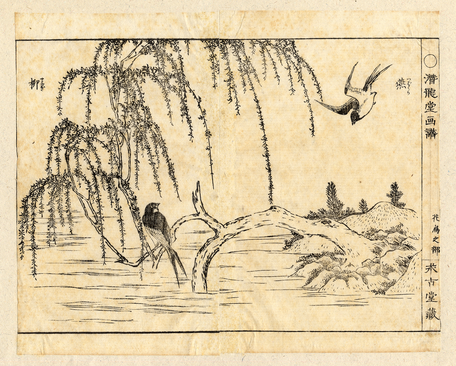 , Japanese Antique Print-EHON-SWALLOW-RIVERSIDE-WILLOW-Anonymous-19th c., Pictura Antique Prints