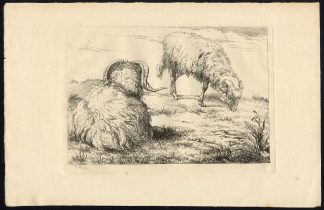 Antique Master Print-TWO GOATS-GRAZE-REST-Van Os-ca. 1800