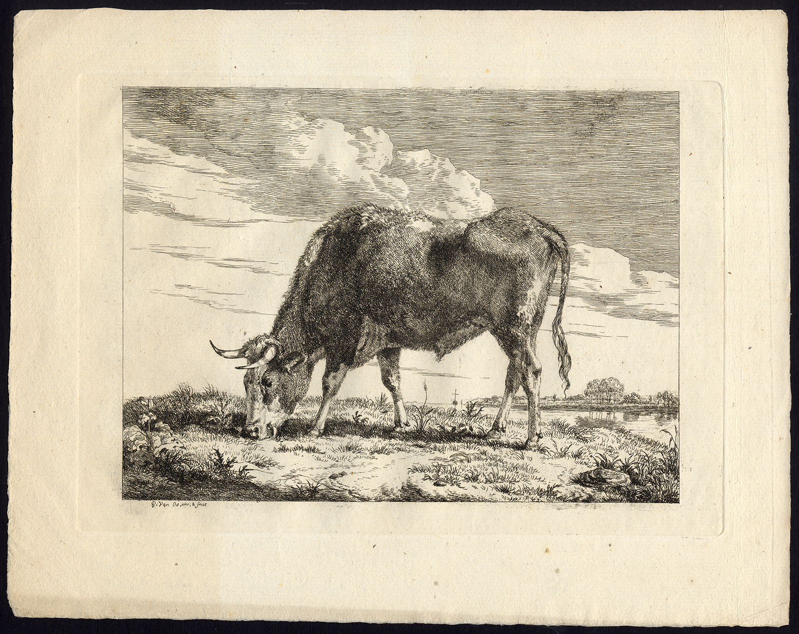 , Antique Master Print-GRAZING-BULL-GRASS-Van Os-ca. 1800, Pictura Antique Prints