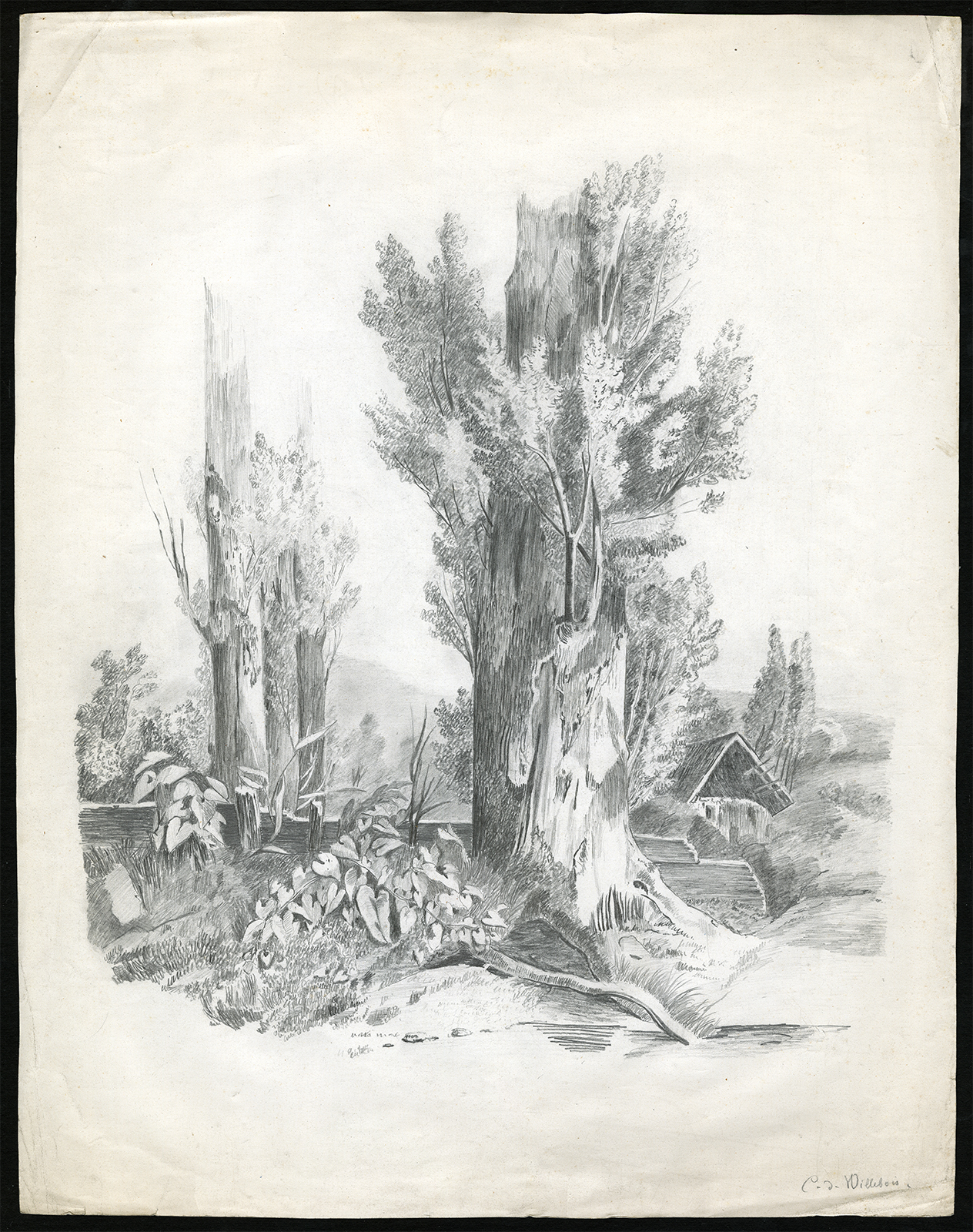 , Antique Drawing-LANDSCAPE-FOREST-TREE-DWELLING-Willebois-ca. 1860, Pictura Antique Prints