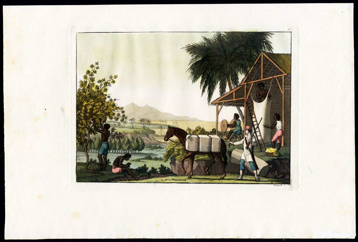 , Antique Print-SILK MANUFACTURE-PLANTATION-AMERICA-Fumagalli-Ferrario-1827, Pictura Antique Prints