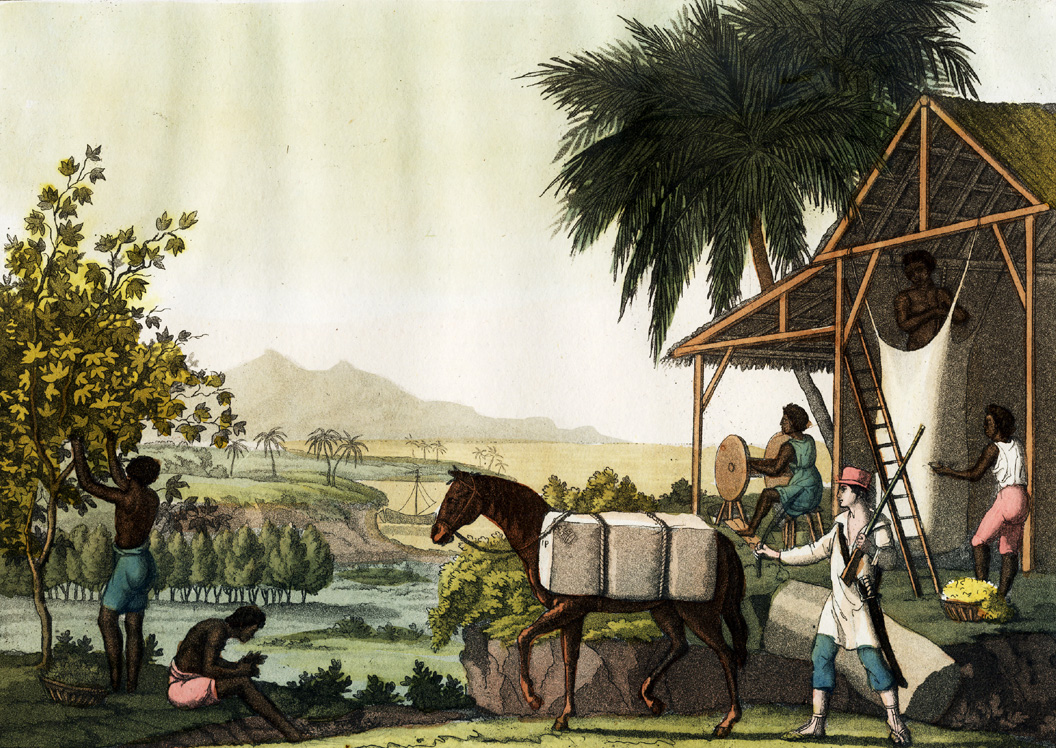 , Antique Print-SILK MANUFACTURE-PLANTATION-AMERICA-Fumagalli-Ferrario-1827, Pictura Antique Prints