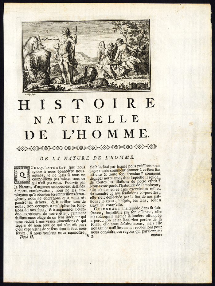 Bb11500a 416x553 Antique Print-TITLE PAGE-HUMAN ANATOMY-ANGEL-LION-COW-HORSE-Buffon-Schley-1750 - Image 2