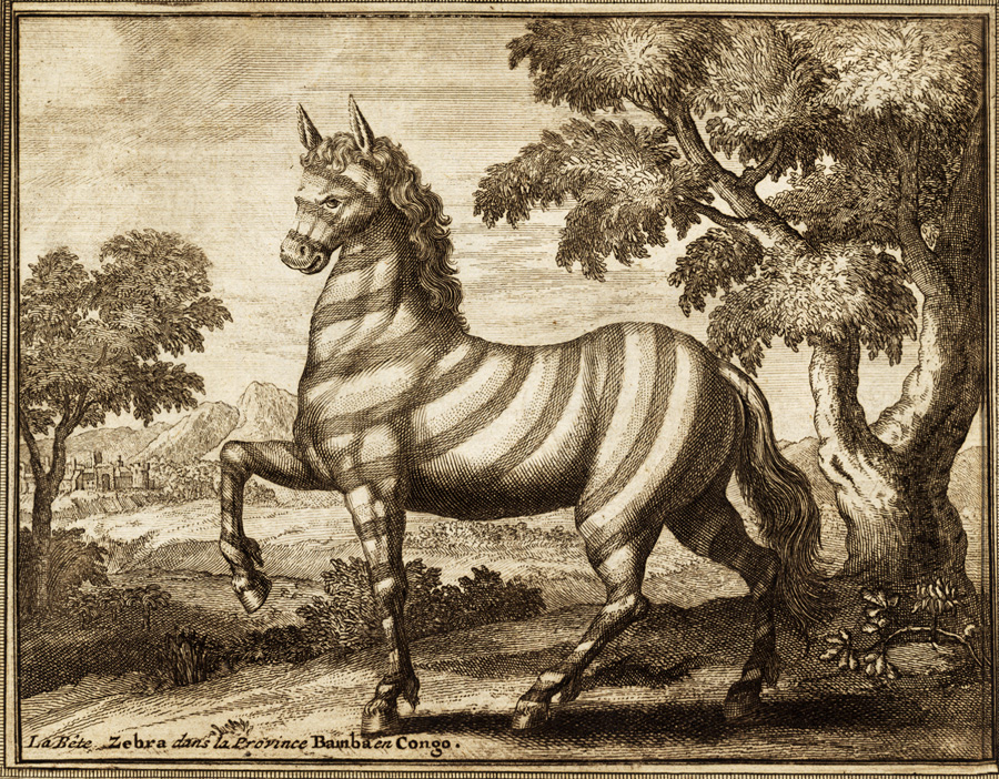 , Rare Antique Print-BAPTISM-CONGO-TRAVEL-ZEBRA-ELEPHANT-SNAKE-Van der Aa-1725, Pictura Antique Prints