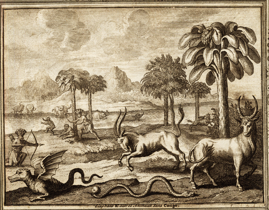 , Rare Antique Print-BAPTISM-CONGO-TRAVEL-ZEBRA-ELEPHANT-SNAKE-Van der Aa-1725, Pictura Antique Prints