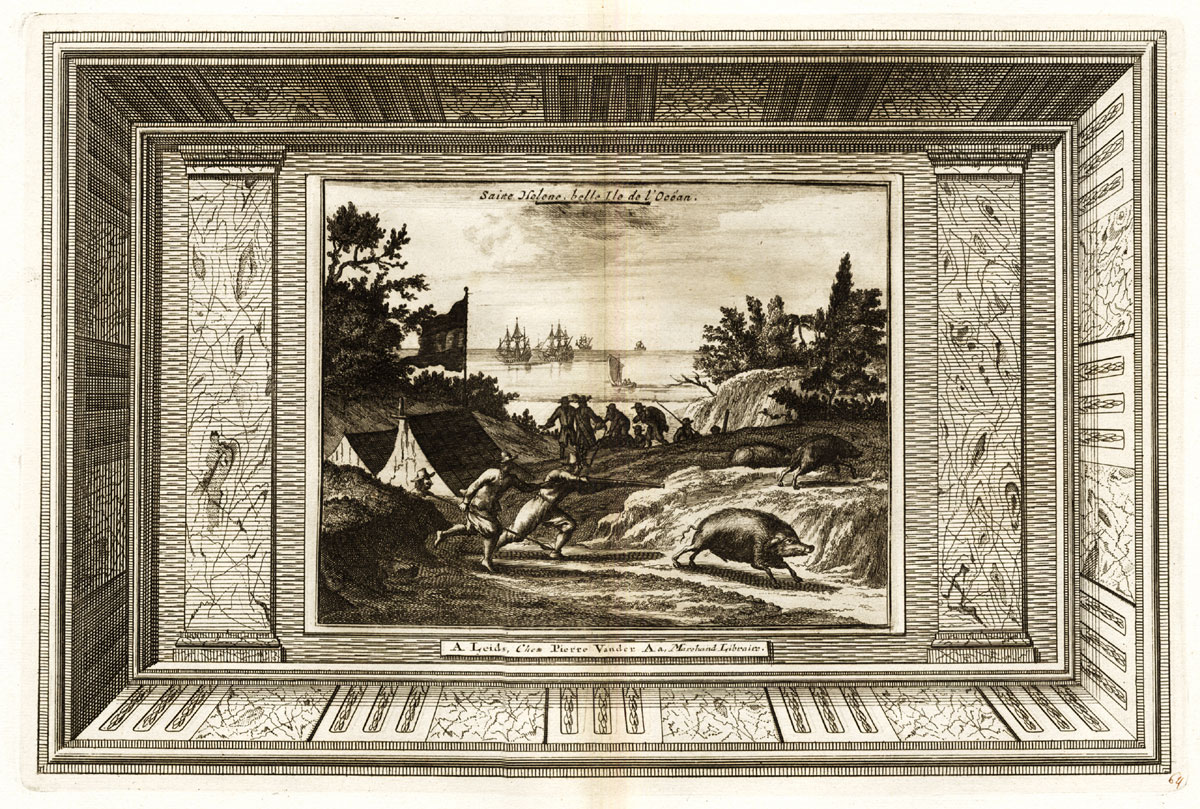 , Rare Antique Print-SAINT HELENA-SHIP-WILD PIG-VOC-Van der Aa-1725, Pictura Antique Prints