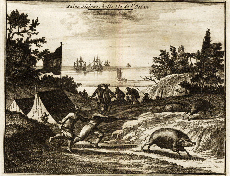 , Rare Antique Print-SAINT HELENA-SHIP-WILD PIG-VOC-Van der Aa-1725, Pictura Antique Prints