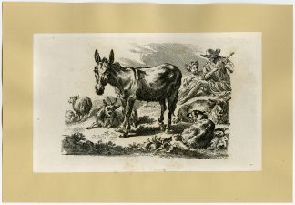 Antique Print-LANDSCAPE-DONKEY-SHEEP-Berchem-ca. 1770