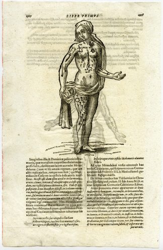 Antique Print-ANATOMY-MARTYR-MALE-FEMALE-Gretser-c. 1650