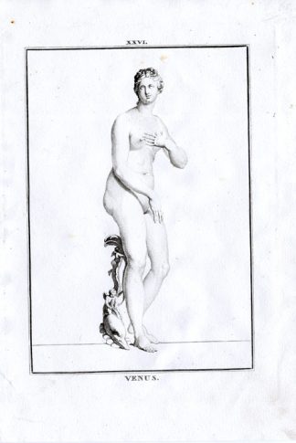Antique Print-MYTHOLOGY-STATUE-SCULPTURE-ROMAN GODS-VENUS-LOVE-Pl. XXVI-1810