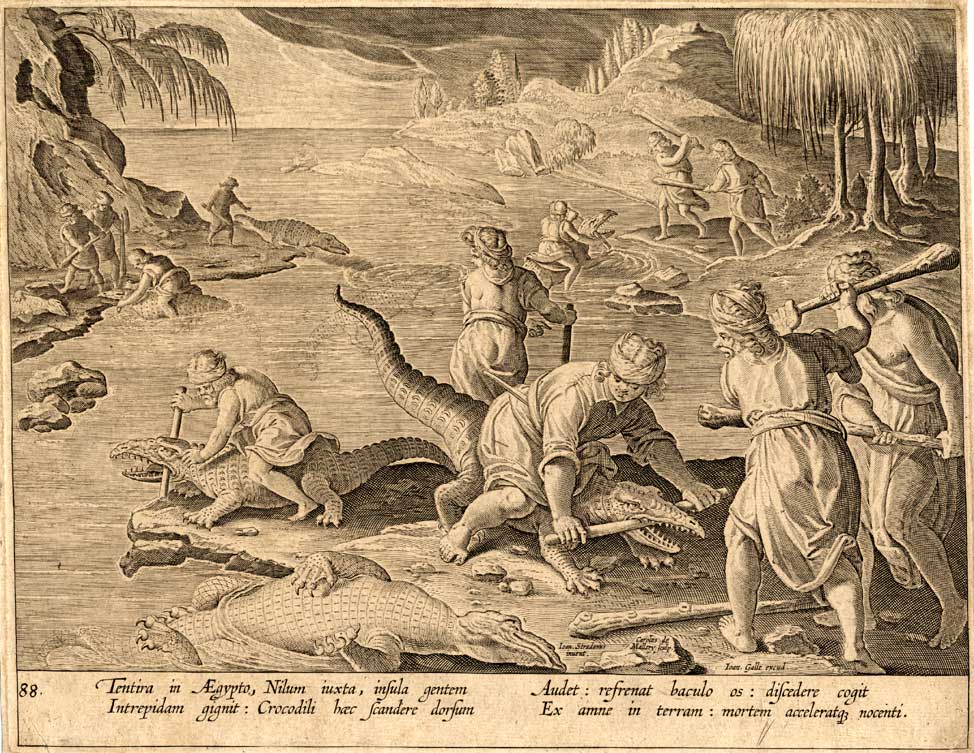 , Antique Hunting Print-CROCODILES-EGYPT-Stradanus-1636, Pictura Antique Prints