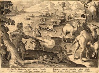 Antique Hunting Print-CAMELS-DROMEDARY-Stradanus-1636