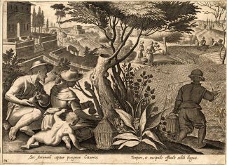 Antique Hunting Print-QUAIL PIPE-Stradanus-1636