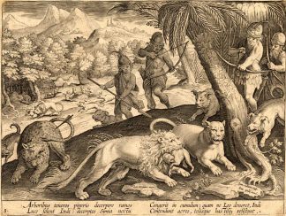 Antique Hunting Print-LION-PANTHER-INDIA-Stradanus-1636