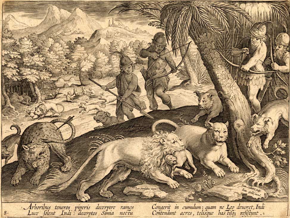 , Antique Hunting Print-LION-PANTHER-INDIA-Stradanus-1636, Pictura Antique Prints