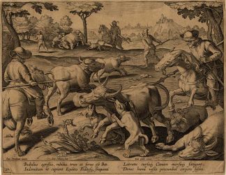 Antique Hunting Print-BUFFALO-HORSES-Stradanus-1636